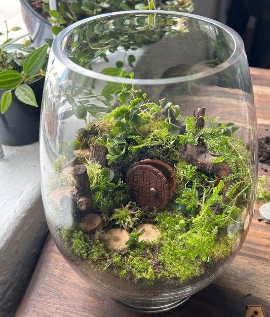 Hobbit Hole Terrarium Workshop & Light Brunch | Sun, 29 Jun  | Wynberg - Elderflower Creative | 10:00 am