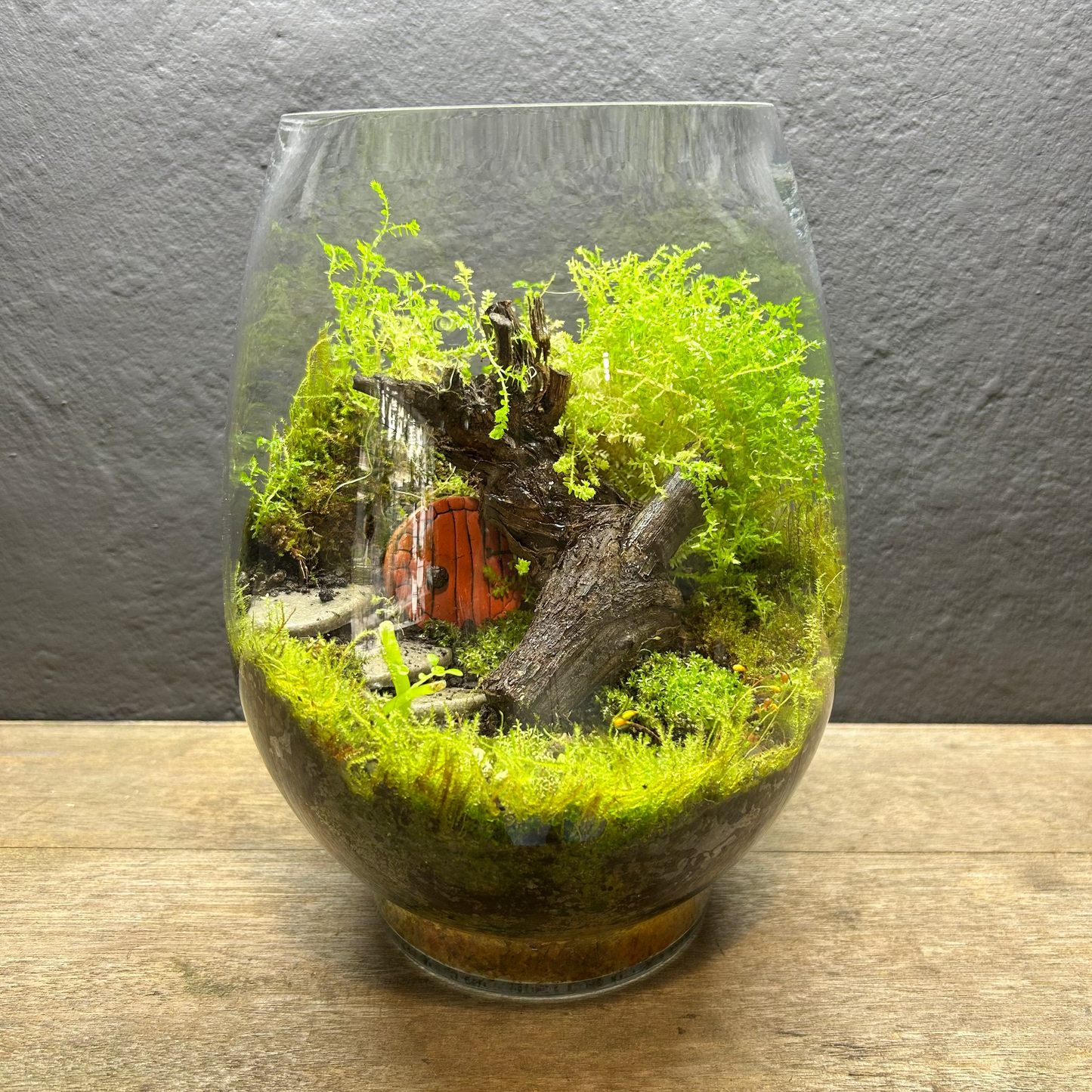 Hobbit House Terrarium Workshop | Oct | Pretoria East - The Doodle Shack