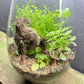 Ceramic Mushroom Terrarium Decor - Set of 3