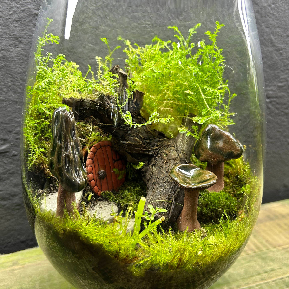 Ceramic Mushroom Terrarium Decor - Set of 3