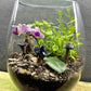 Ceramic Mushroom Terrarium Decor - Set of 3