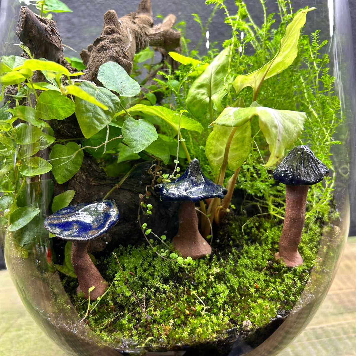 Ceramic Mushroom Terrarium Decor - Set of 3