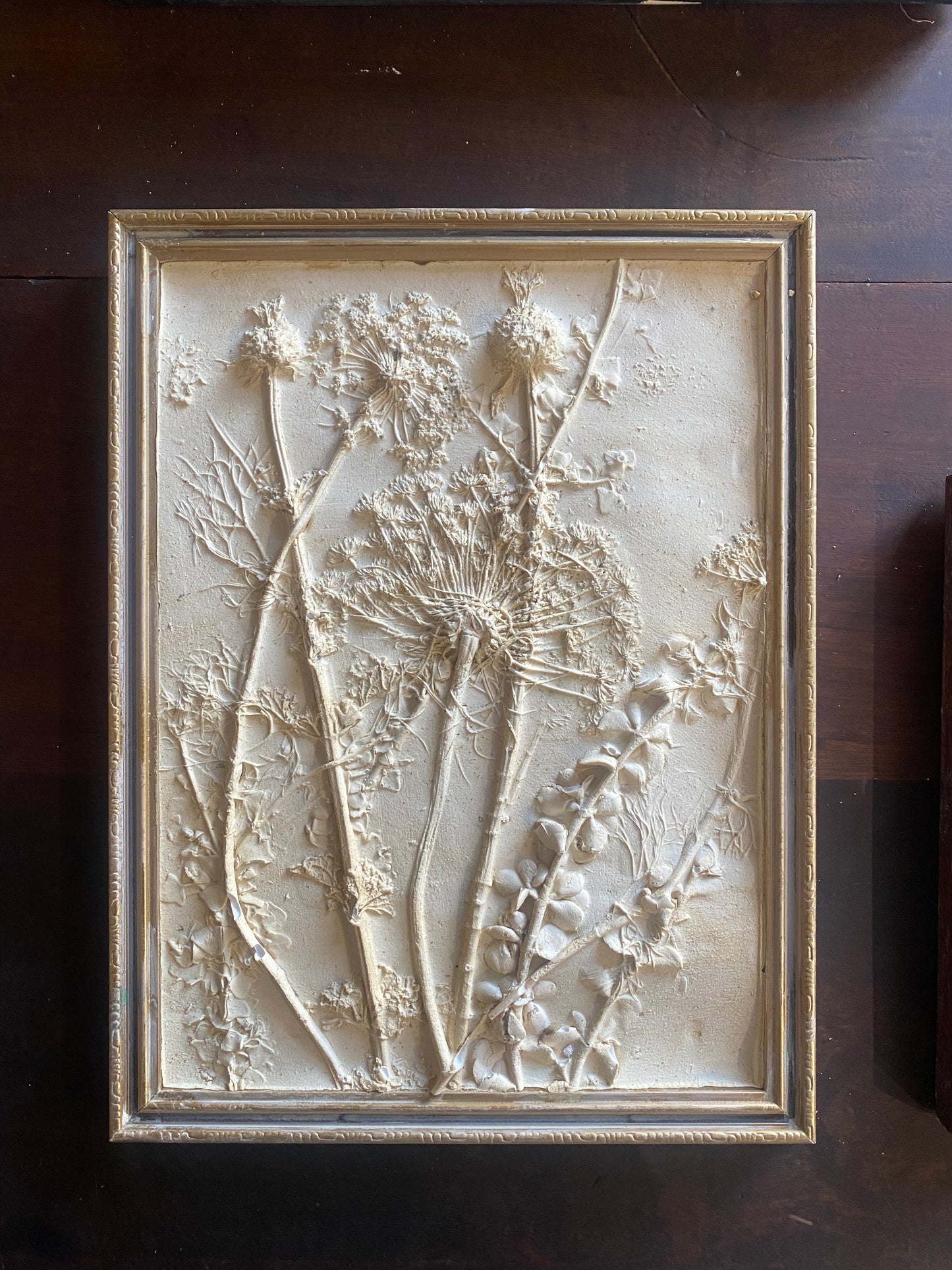 Botanical Relief Art Workshops 2026 | Wynberg - Elderflower Creative | 10:00 am