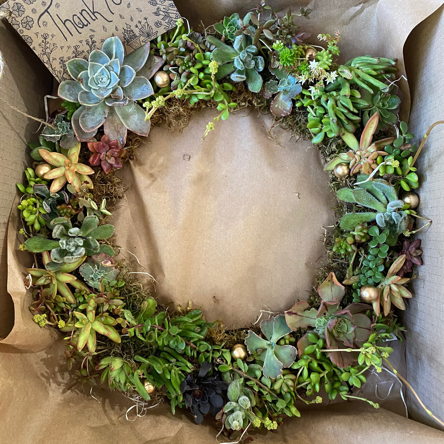 Succulent Wreath - FREE SHIPPING!