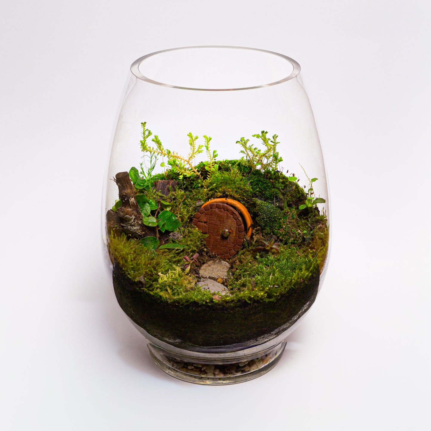 Hobbit House Terrarium Kit