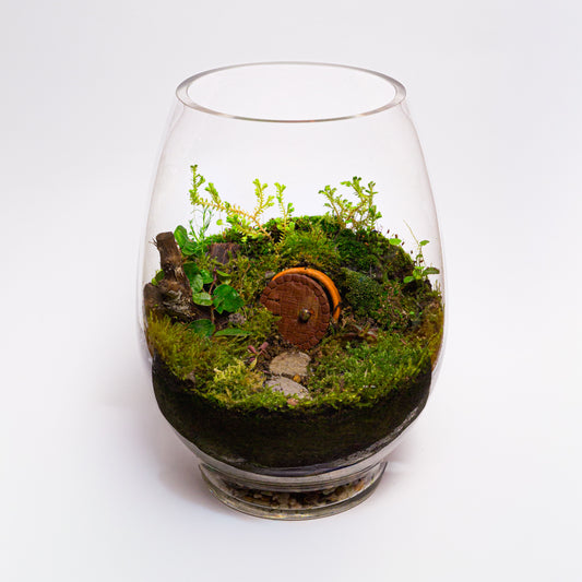 Hobbit House Terrarium Kit