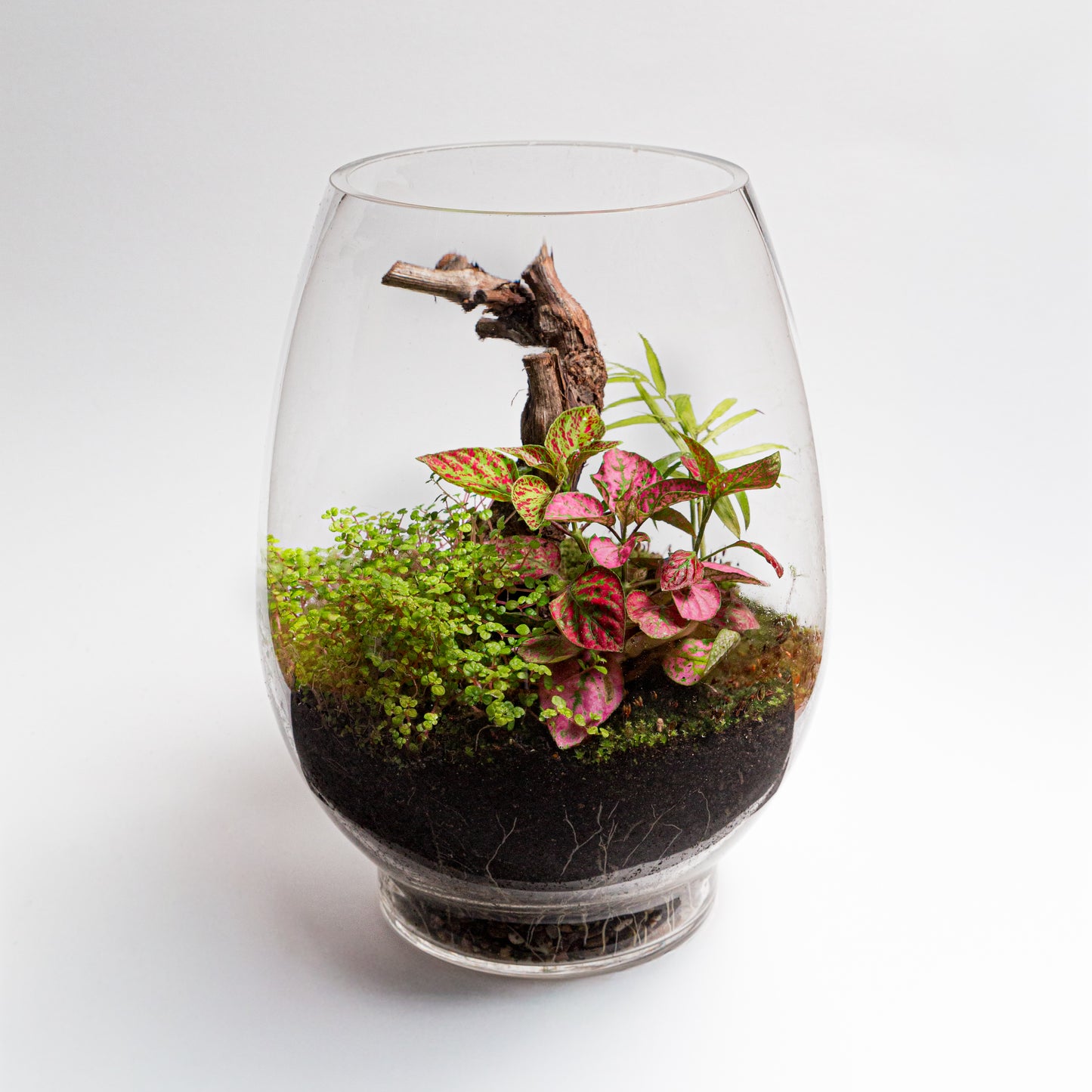 Vase Terrarium DIY Kit