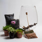 Mikro Orchid Terrarium Kit