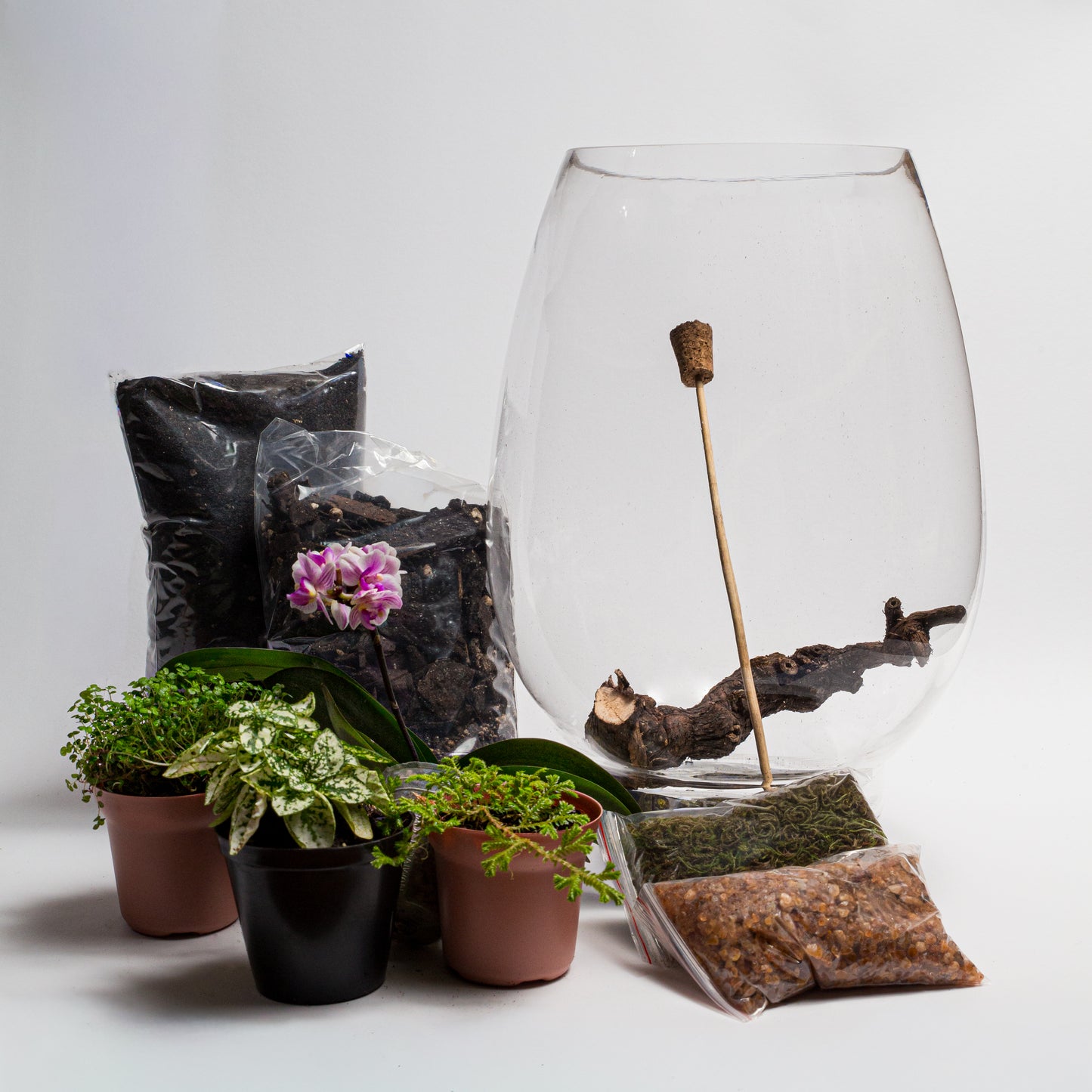 Mikro Orchid Terrarium Kit