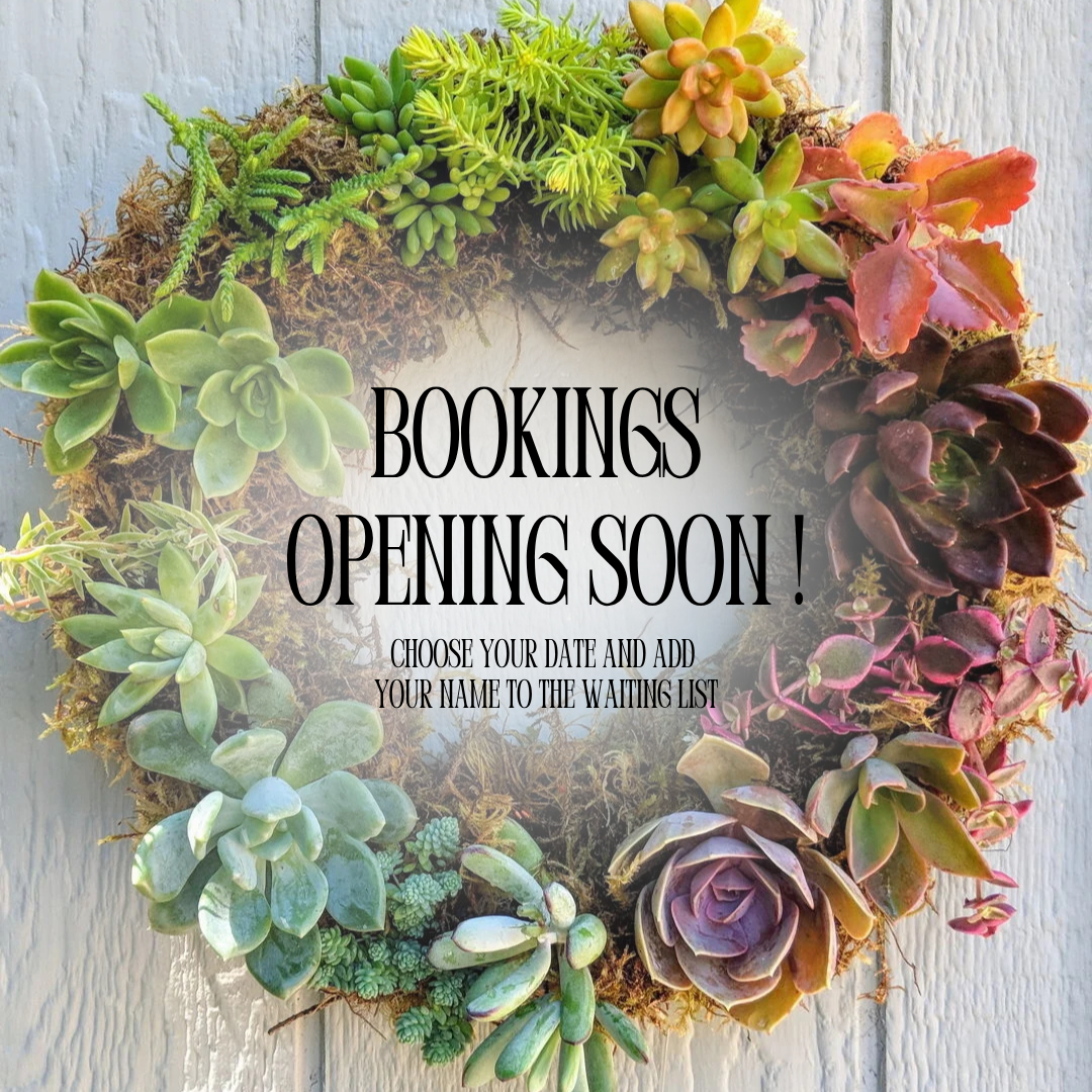 Succulent Wreath Workshop | Sat, 5 Dec  | Pretoria East - The Doodle Shack