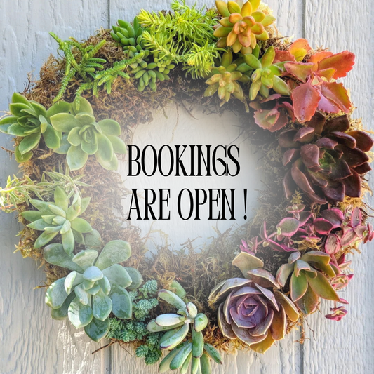 Succulent Wreath Workshop | Sat, 5 Dec  | Pretoria East - The Doodle Shack