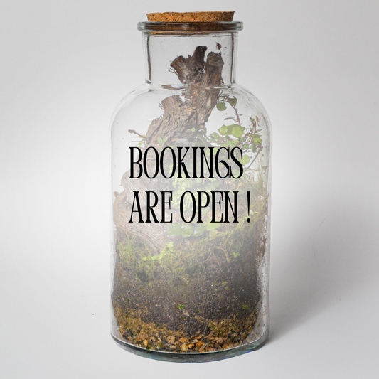 Terrarium Workshop | Sat, 24 Oct  | Pretoria East - The Doodle Shack