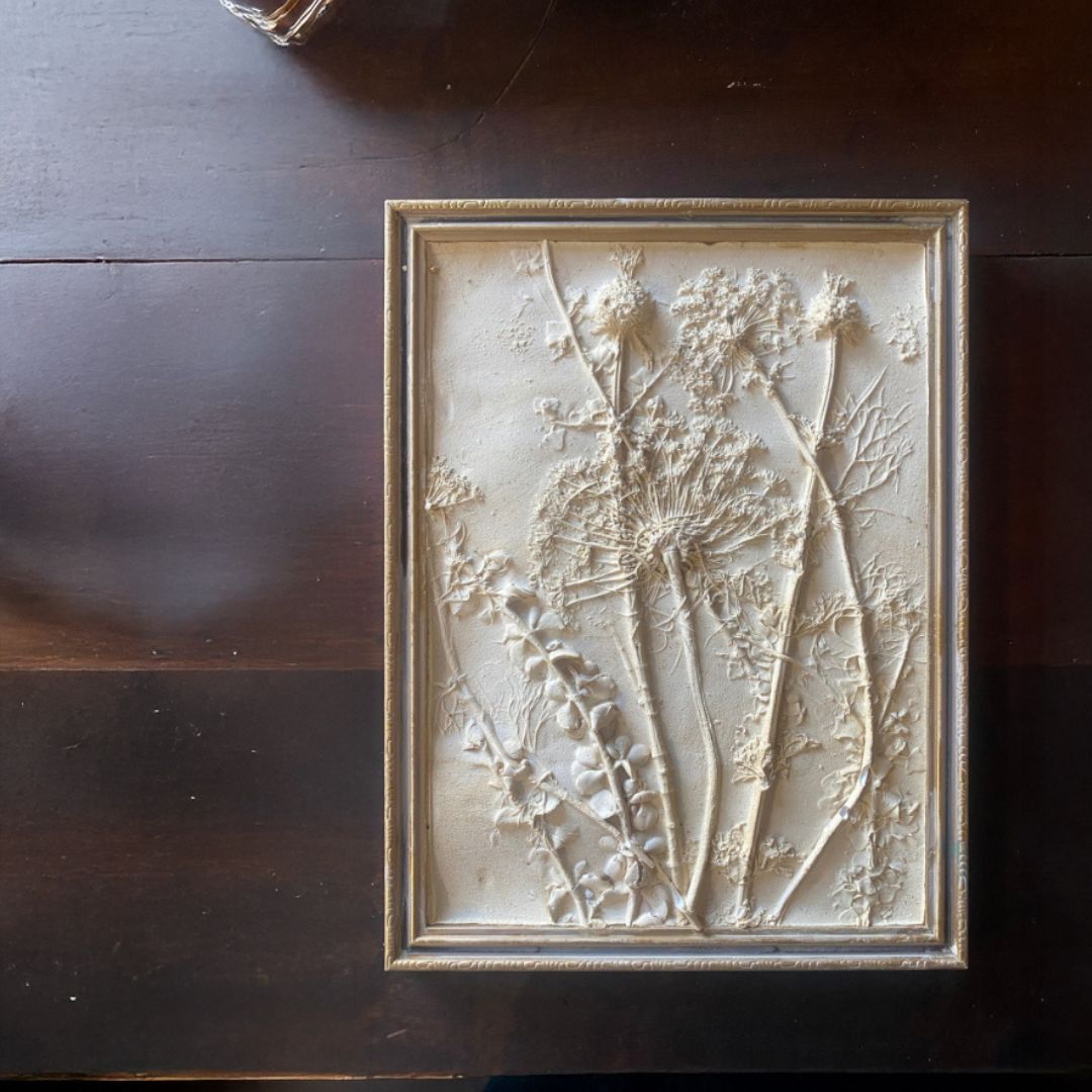 Botanical Relief Art Workshop | Sat, 4 Oct  | Durbanville - Rust & Vrede Gallery