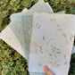 Botanical Paper Making Workshop | Sat, 20 Jun  | Wynberg - Elderflower Creative