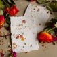 Botanical Paper Making Workshop | Sat, 20 Jun  | Wynberg - Elderflower Creative