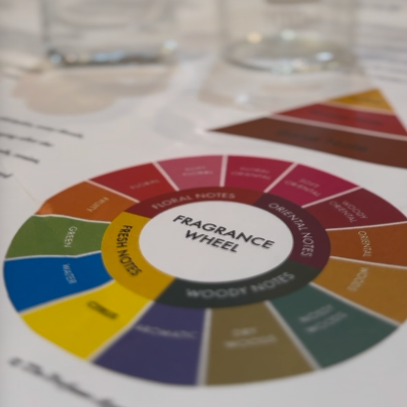 Fragrance wheel with color-coded notes on a blurred background