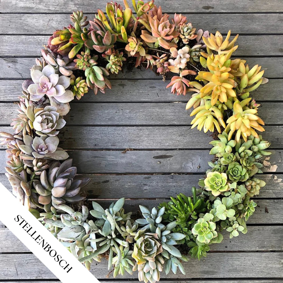 Succulent Wreath Workshop | Sat, 6 Dec  | Stellenbosch - Warwick Wine
