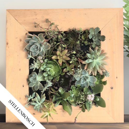Succulent Frame Workshop | Sat, 6 Sep  | Stellenbosch - Warwick Wine