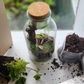 Terrarium Workshop | Fri 14 & Sat 15 Aug  | Pretoria East - The Doodle Shack