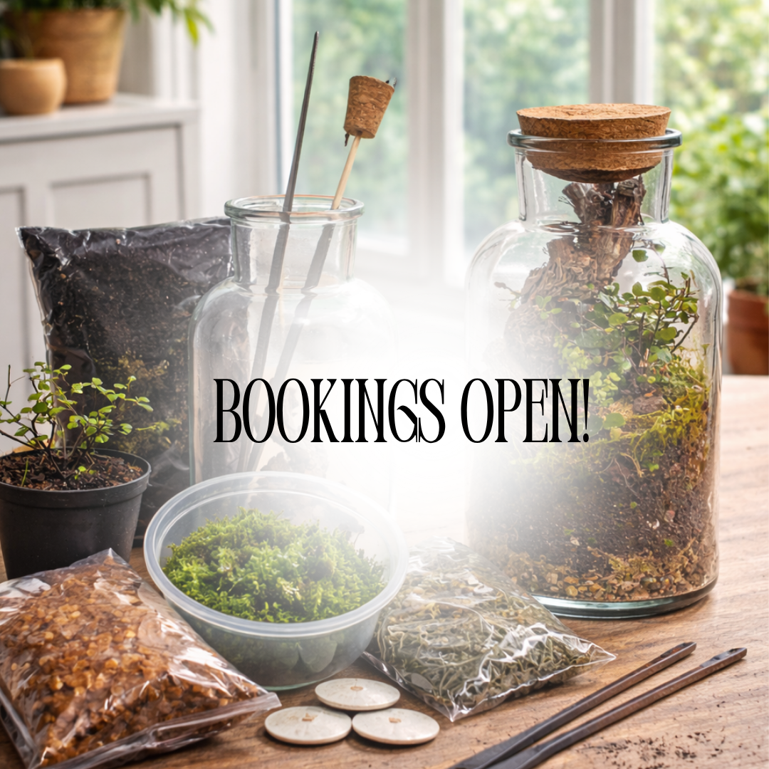 Terrarium Workshop | Fri 14 & Sat 15 Aug  | Pretoria East - The Doodle Shack