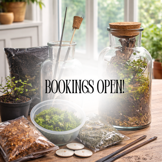 Terrarium Workshop | Fri 14 & Sat 15 Aug  | Pretoria East - The Doodle Shack