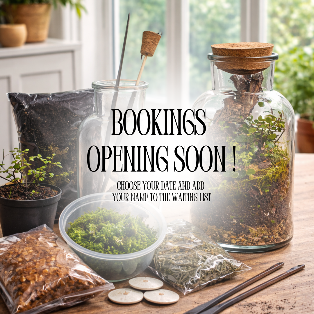Terrarium Workshop | Fri 14 & Sat 15 Aug  | Pretoria East - The Doodle Shack