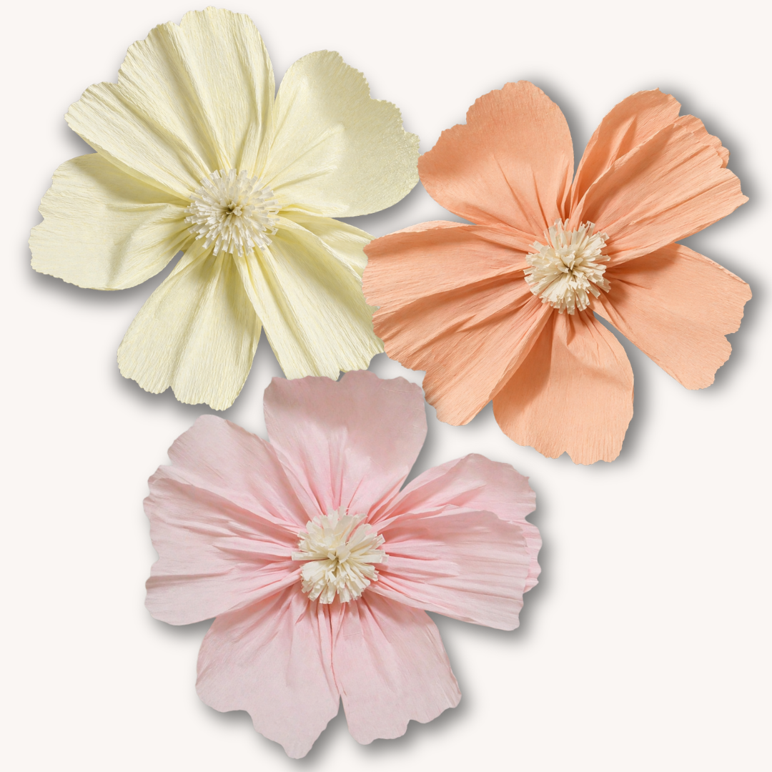 Poppy Arrangement (Set of Three) | Pastel Mix