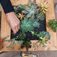 Succulent Wall Frame Workshops 2026 | Wynberg - Elderflower Creative