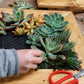 Succulent Wall Frame Gift Card