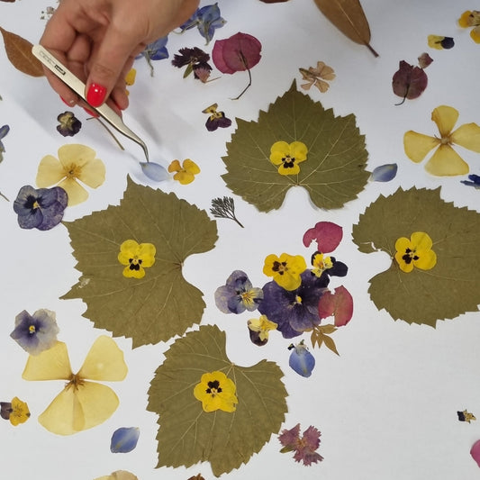 Botanical Collage Workshop | Sat, 20 Sep  | Wynberg - Elderflower Creative