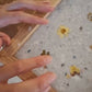 Botanical Paper Making Workshop | Sat, 20 Jun  | Wynberg - Elderflower Creative