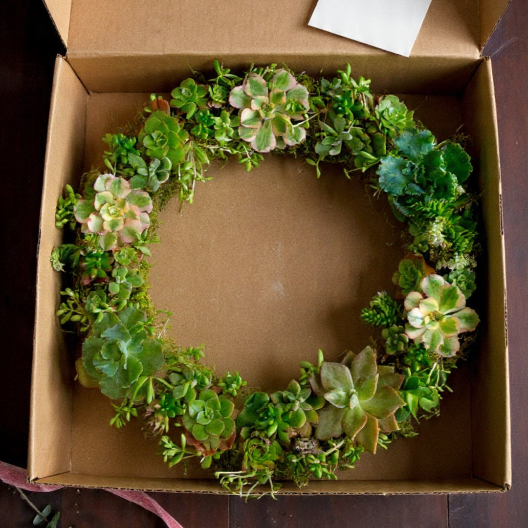Succulent Wreath - FREE SHIPPING!