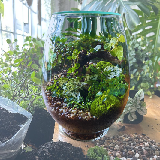 Terrarium Workshop | Sat, 13 Sep  | 34 Constantia Main rd, Wynberg